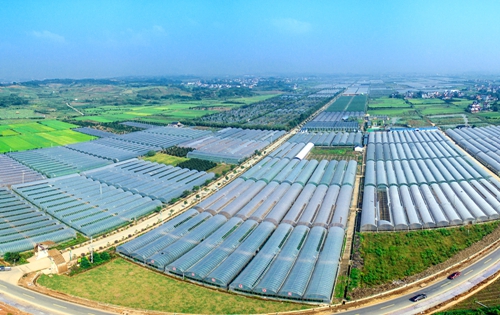 大庆建设“互联网＋农业”高标准农田18万亩（附图）